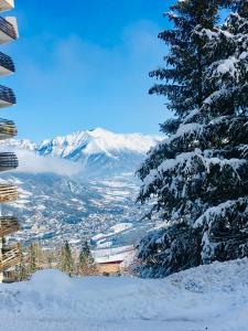 a snow covered tree with a view of a city at Petit chalet 40 m2 en Ubaye BARCELONNETTE in Barcelonnette