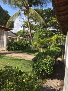 un patio con una palmera y una casa en Village por do sol en Aracajú