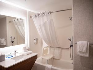Bathroom sa Holiday Inn Express & Suites I-85 Greenville Airport, an IHG Hotel