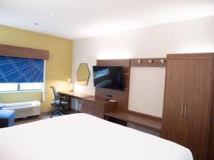 um quarto de hotel com uma cama, uma secretária e uma televisão em Holiday Inn Express & Suites I-85 Greenville Airport, an IHG Hotel em Greenville