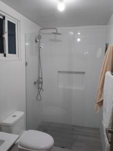 uma casa de banho branca com um chuveiro e um WC. em Tu torre monumental Vl em Santiago de los Caballeros