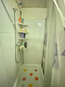 uma pequena casa de banho com um chuveiro e uma cortina de chuveiro em Cabaña a metros de playa em Valdivia