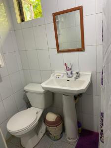 uma casa de banho com um WC, um lavatório e um espelho. em Cabaña a metros de playa em Valdivia