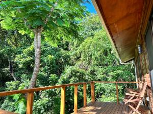 eine Veranda mit einem Stuhl und einer Palme in der Unterkunft Latui Loft in Savusavu