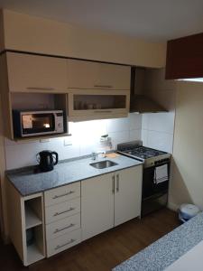 eine kleine Küche mit einer Spüle und einer Mikrowelle in der Unterkunft Terra1 in San Carlos de Bariloche