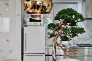a bonsai tree in a kitchen with a bowl at THE ROOT2 HOTEL in Kyoto