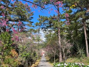 un camino a través de un bosque con árboles y flores en Dalat Edensee Lake Resort & Spa, en Da Lat