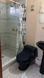 a bathroom with a shower with a toilet and a sink at Vacation Home La Ceiba in La Ceiba