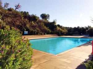 a large swimming pool in a yard with trees at Appartement Le Lavandou, 2 pièces, 4 personnes - FR-1-251-573 in Le Lavandou