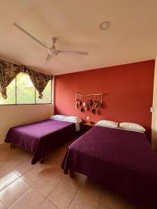 two beds in a room with red walls at Coco Viejo Posada in San Pedro Pochutla