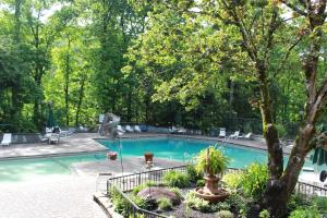 a swimming pool with a statue in a park at Heavenly View - Bear Themed Cabin, HotTub, Dog-Friendly, Near Gatlinburg in Gatlinburg
