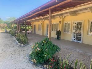 a yellow building with a porch with a bunch of plants at Cabañas Paulamar - Apto 2 - Tolu in La Gloria