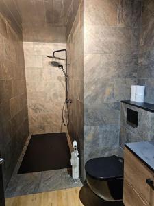 a bathroom with a shower with a toilet and a sink at Chalet en forêt avec etang. in Saint-Étienne-lès-Remiremont