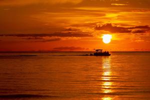 Naturlandskabet i nærheden af pensionatet