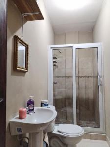 a bathroom with a shower and a toilet and a sink at Posadas Mateo in La Lima