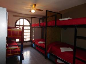 Habitación con 4 literas y ventana. en Casona Luciérnaga-Casa de Huéspedes, en León