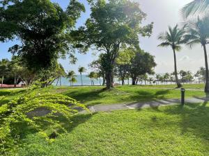 a park with palm trees and a path at Appartements village Pierre et Vacances vue mer Aouara Roucou Malaka Guadeloupe St Anne in Sainte-Anne