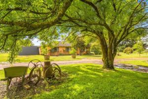 a bike parked under a tree in a yard at 'Hawthorn Park' Farm Homestead in Macedon Ranges in Romsey