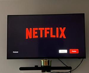 a television with a netflix sign on the screen at Lux 05 in Lukavica