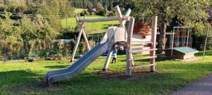 a playground with a slide in the grass at Dischhof in Biederbach Baden-Württemberg