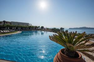 Bazén v ubytování Cretan Dream Resort & Spa nebo v jeho okolí