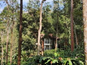 Zahrada ubytování Willow Resorts Wayanad