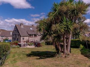 een palmboom voor een huis bij 3 Bed in Corfe Castle 78831 in Corfe Castle