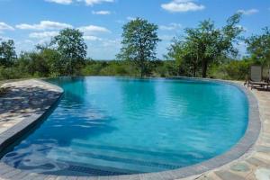 ein großes Schwimmbecken mit blauem Wasser in der Unterkunft Bushvilla's Silonque in Phalaborwa
