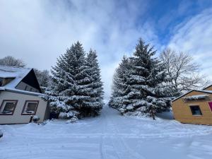 dwa drzewka świąteczne w śniegu obok domu w obiekcie Nasza Chata w mieście Duszniki Zdrój