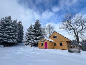 drewniany domek na śniegu z drzewami w obiekcie Nasza Chata w mieście Duszniki Zdrój