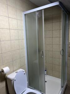 La salle de bains est pourvue de toilettes et d'une douche en verre. dans l'établissement Library suite 1, à Ledine