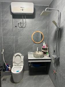 een badkamer met een toilet, een wastafel en een spiegel bij Bull Motorbikes and Tours in Làng Lap