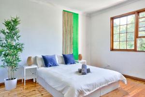 Un dormitorio blanco con una cama y una planta en Elegant House Chippendale - City Center 2 E-Bikes Included en Sídney
