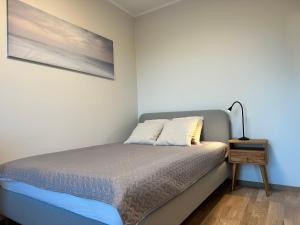 Bett in einem Zimmer mit einem Bild an der Wand in der Unterkunft Riia 22 Apartment in Tartu