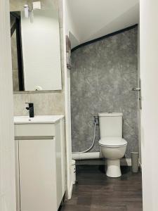 a bathroom with a toilet and a sink and a mirror at Studio cosy 