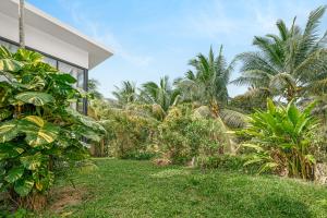 einen Garten mit Palmen und ein Gebäude in der Unterkunft Ana's House in Nathon Bay