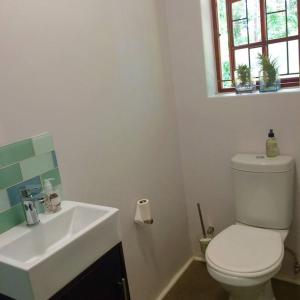 a bathroom with a white toilet and a sink at The Croft cottage in Knysna
