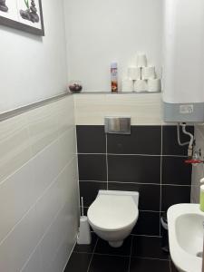 łazienka z toaletą i umywalką w obiekcie Rodinné apartmány Rafael Bedřichov w mieście Bedřichov
