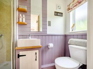 a bathroom with a toilet and a sink and a mirror at 1 Bed in Patterdale 89510 in Deepdale