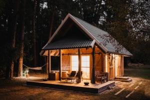 KampiškiaiALNUS KIEMAS的一间黑色屋顶的小小屋