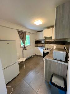 une petite cuisine avec un réfrigérateur et un micro-ondes dans l'établissement F4 Mouintain View Corner House with Terasse and Garden, à Kőszeg