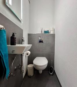 a small bathroom with a toilet and a sink at Haus Korjässer in Löf