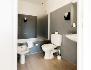 ein Bad mit einem WC und einem Waschbecken in der Unterkunft Hôtel Restaurant La Voile - Le Dock'er in Locmariaquer
