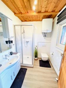 a bathroom with a shower and a sink and a toilet at Ferienwohnungen am Burgberg in Lichtenberg