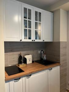 Apartman Aspen Divcibareにあるキッチンまたは簡易キッチン