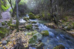 a stream of water with rocks in a forest at Casa Rural El Bosque in El Bosque