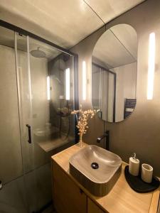 Chalet Mélèze skis aux pieds Alpes, Sainte-Foy station 1550的一间浴室
