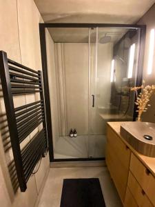 圣福瓦-塔朗泰斯Chalet Mélèze skis aux pieds Alpes, Sainte-Foy station 1550的带淋浴和水槽的浴室