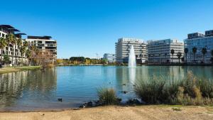 a pond with ducks in the water in a city at Appart'hôtel Marianne in Montpellier