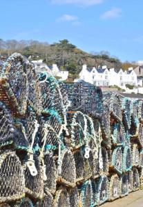 アバードベイにあるIsfryn, holiday home in Aberdyfiの桟橋の大山